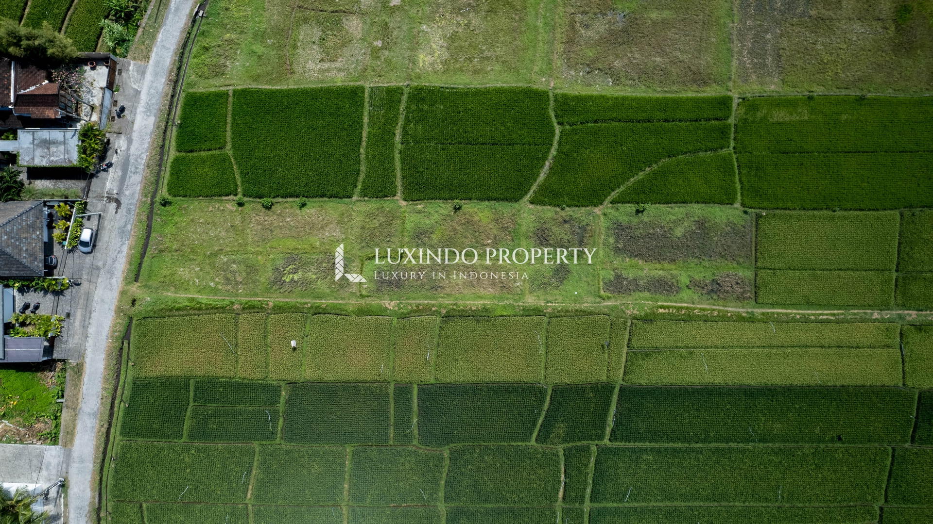KEDUNGU – 5 ARE LAND FOR LEASE SURROUNDING BY RICE FIELD (LHL240)